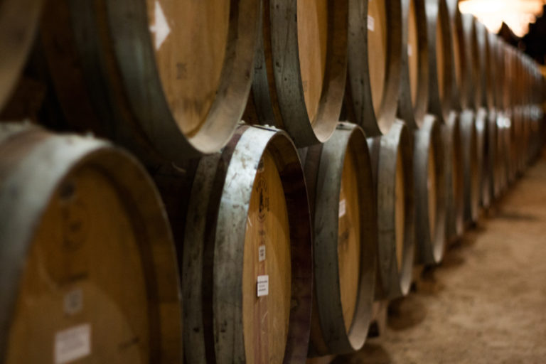 Our Vintage Picks for 2023