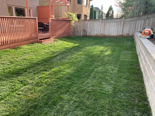 Finished sod installation