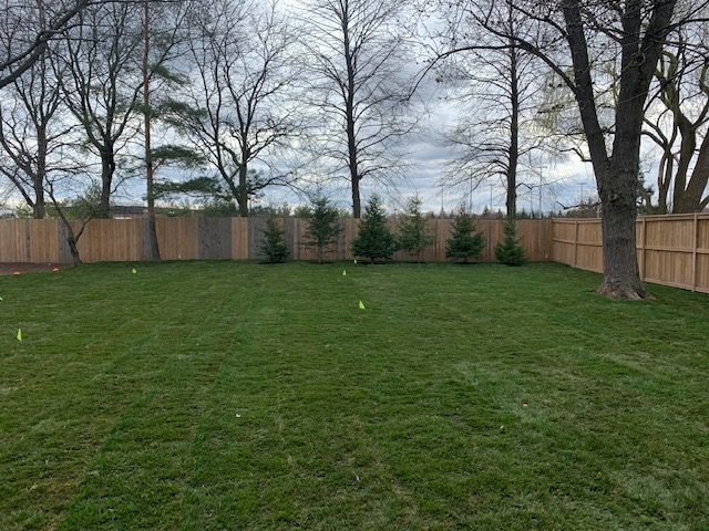 After a sod installation