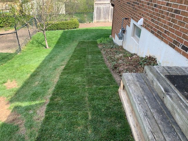 After sod installation