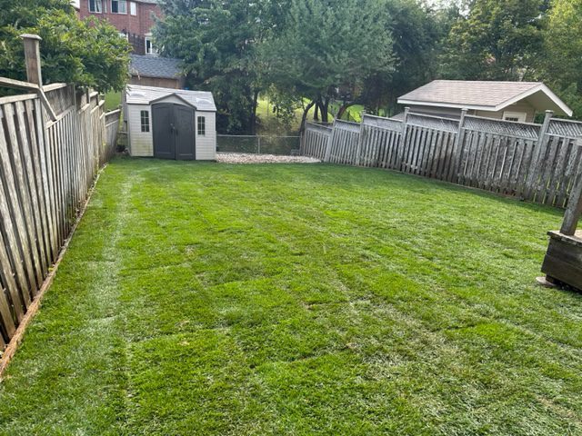 Sod installation completed by Corringtons Cutting