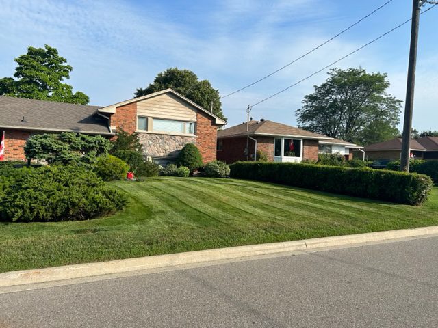 Lawn care by Corringtons Cutting